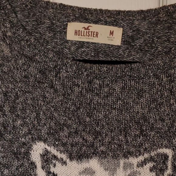 HOLLISTER big cat snow leopard pullover sweater size medium - Picture 3 of 5